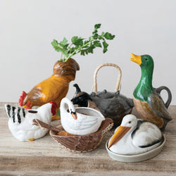 Duck Shaped Decorative Pitcher